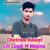 About lili lugdi m Nagina Song